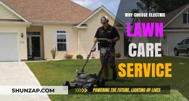 Eco-Friendly Lawn Care: Why Electric Services Are the Smarter Choice