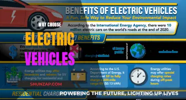 The Green Revolution: Why Electric Vehicles Are the Future