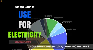 Coal's Simplicity: Why It's a Go-To for Electricity Generation