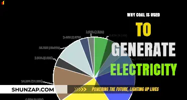 Why Coal Remains a Key Player in Electricity Generation