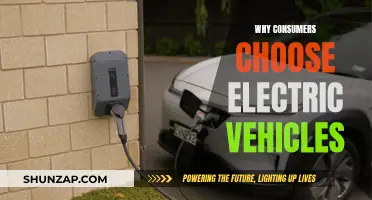 The Green Revolution: Why Electric Vehicles Are the Future