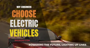 Electric Vehicles: Consumers' Choice for a Greener Future
