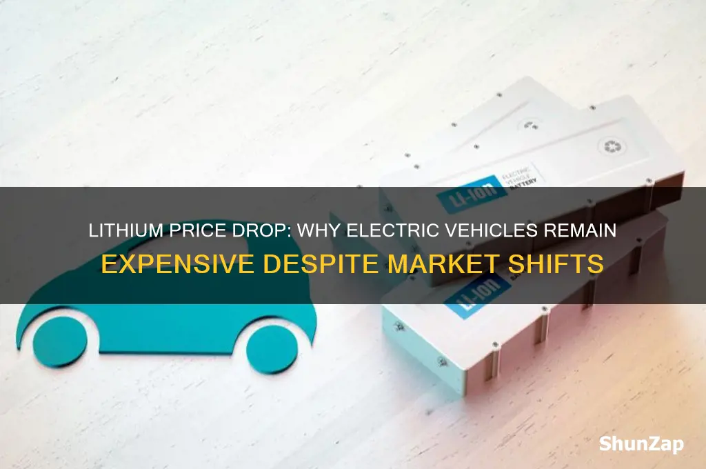 why crashing lithium prices will not make electric cars cheaper