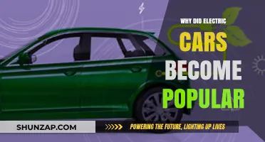 The Rise of Electric Cars: Factors Driving Their Popularity