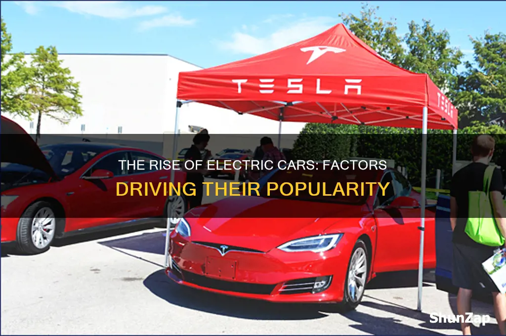 why did electric cars become popular