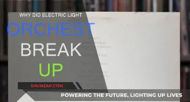 The Electric Light Orchestra's Breakup: What Really Happened?