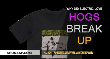 The Electric Love Hogs' Breakup: What Really Happened?