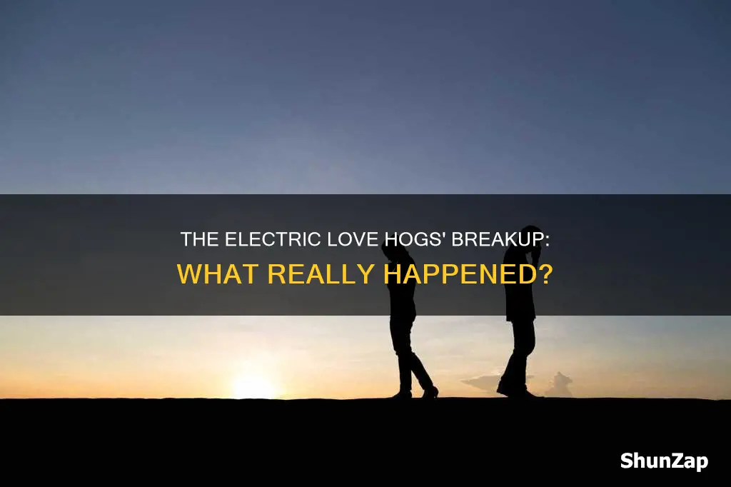 why did electric love hogs break up