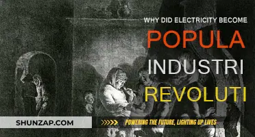 Electricity: Powering the Industrial Revolution