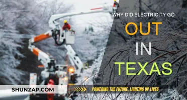 Texas Power Outage: What Caused the Blackout?