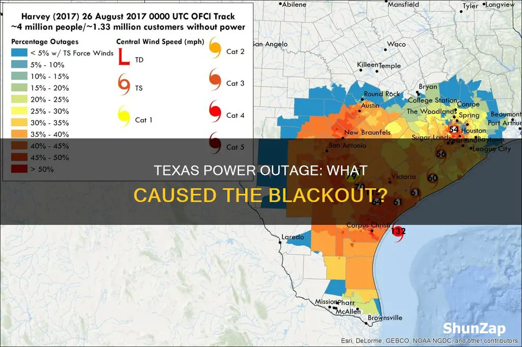 why did electricity go out in texas