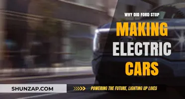 Why Ford Halted Electric Car Production: Key Factors Explained