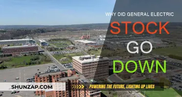 General Electric's Stock: What Went Wrong?