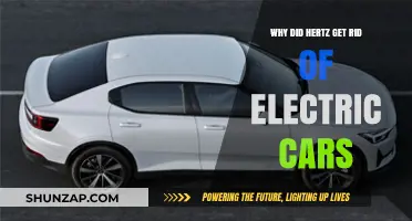 Hertz's Electric Car Exit: Reasons Behind the Sudden Shift