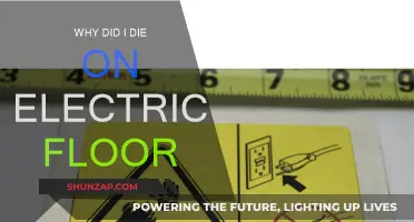 How I Died from Electric Shock