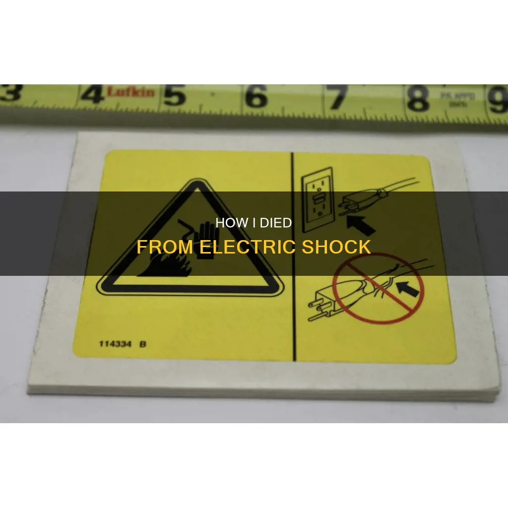 why did i die on electric floor