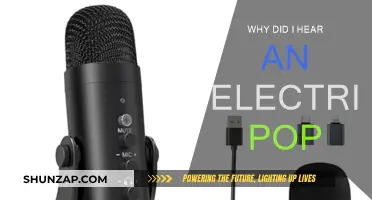 Electric Pop: What's That Noise?