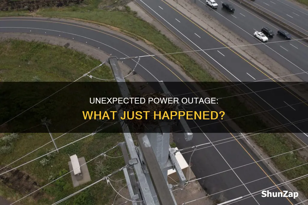 why did my electricity just go out