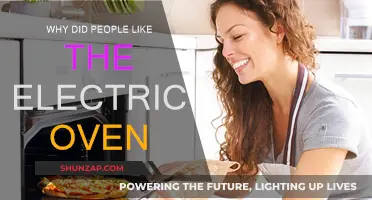 Revolutionizing Cooking: Electric Ovens' Appeal