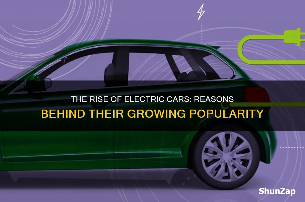 why did people make electric cars