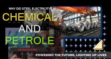 The Evolution of Steel, Electricity, Chemicals, and Petroleum