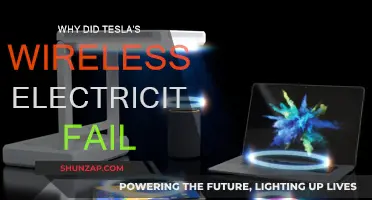 Wireless Electricity: Tesla's Failed Dream
