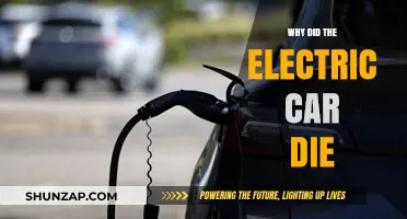 The Fall of Electric Cars: A Historical Perspective on Their Decline