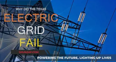 Texas Electric Grid Failure: What Went Wrong?