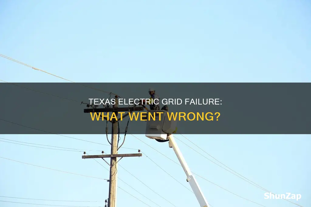 why did the texas electric grid fail