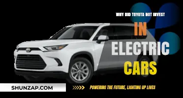 Toyota's Electric Car Hesitation: Strategic Oversight or Calculated Decision?