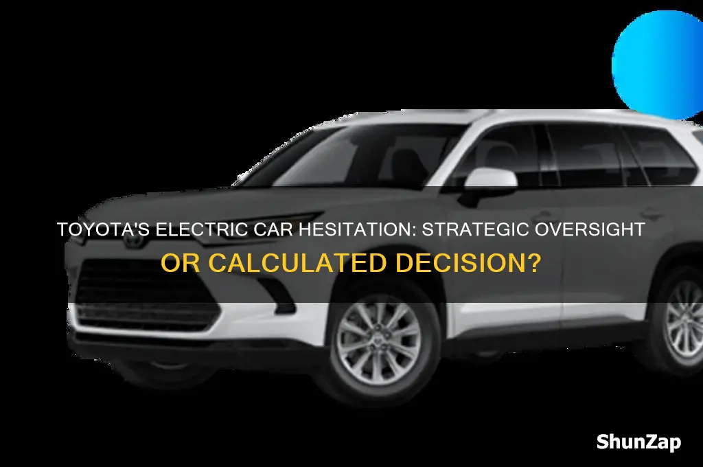 why did toyota not invest in electric cars