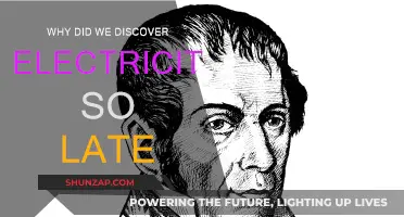 The Late Discovery of Electricity: Why So Long?