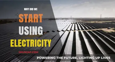 The Spark of Progress: Why We Embraced Electricity's Power