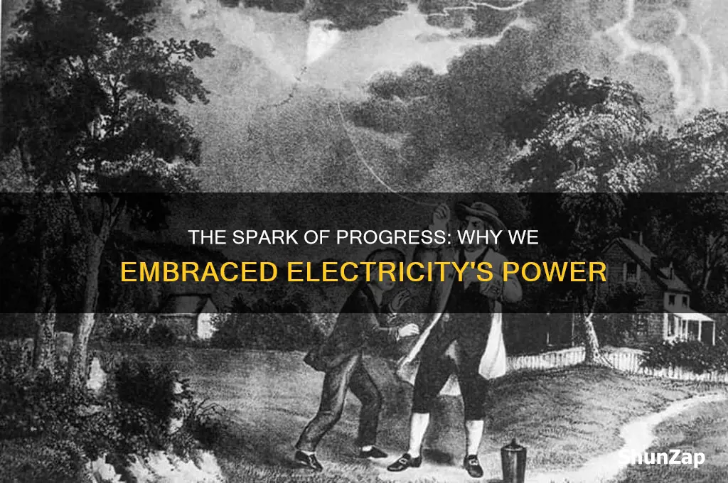 why did we start using electricity