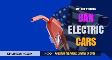 Wyoming's Electric Car Ban: Unraveling the Controversial Decision