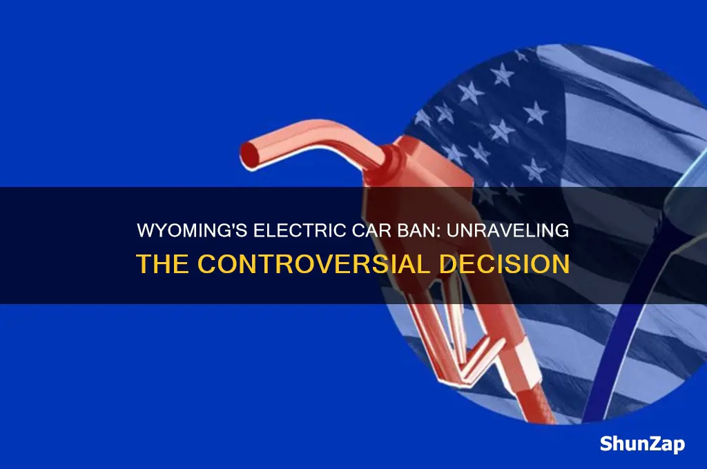why did wyoming ban electric cars
