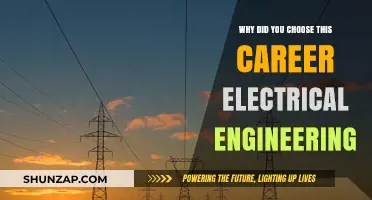 Why Electrical Engineering? My Passion-Driven Career Choice Explained