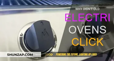 Old Electric Ovens: Why They Didn't Click