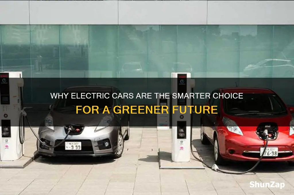 why diel with electric cars