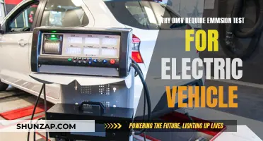 DMV's Emissions Test: A Necessary Step for EV Owners