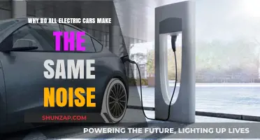 Why Electric Cars Share a Uniform Noise: The Science Behind It