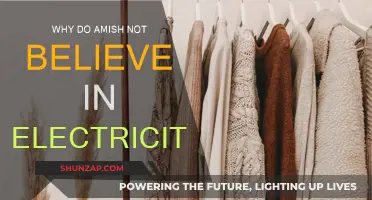 The Amish and Electricity: A Different Path