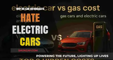 Why Car Enthusiasts Often Dislike Electric Vehicles: A Deep Dive