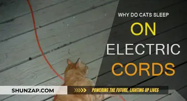 Cats' Napping Spots: Electrical Cords' Appeal