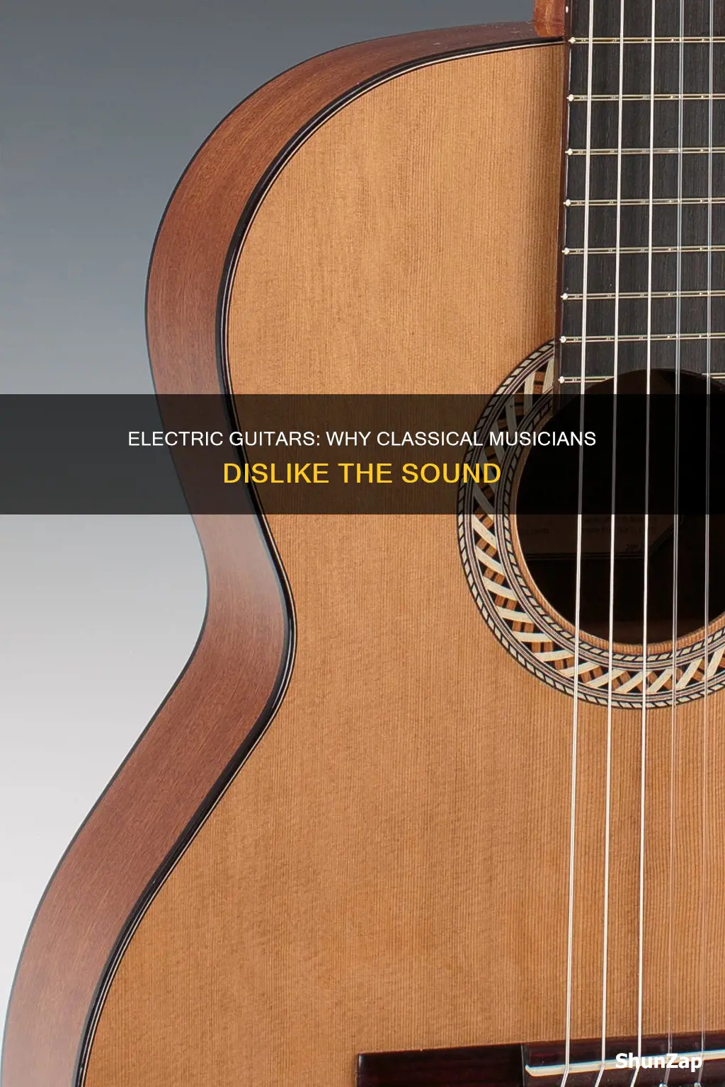 why do classical musicians hate electric guitars