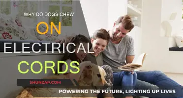 Preventing Dogs from Chewing Electrical Cords: Understanding the Risks