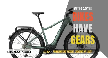 Electric Bike Gears: Understanding Their Purpose and Function