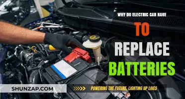 Why Electric Car Batteries Need Replacement: Causes and Solutions