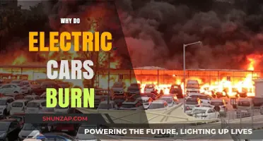 Electric Cars on Fire: Causes and Safety Concerns Explained