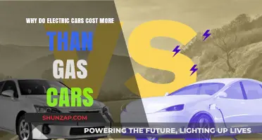 Why Electric Cars Carry a Higher Price Tag Than Gas Vehicles